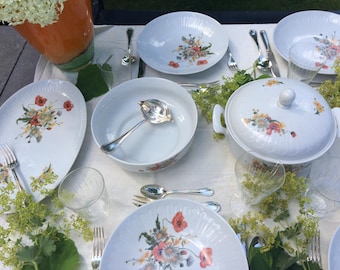 Graf Von Henneberg Dinner Service, Wedding Gift, Birthday Gift