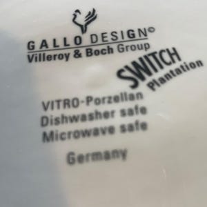 Villeroy & Boch Gallo design Switch Plantation diner servies voor 6 personen, huwelijkscadeau, verjaardagscadeau image 9
