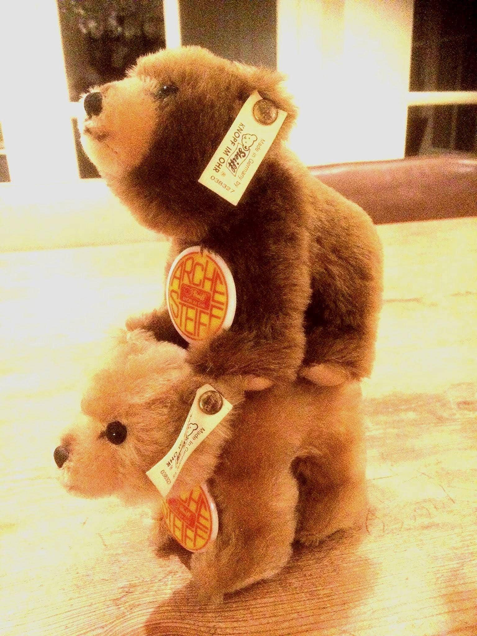 Steiff, Pair of 2 Bears of Noah's Ark, Collector's Item, Limited