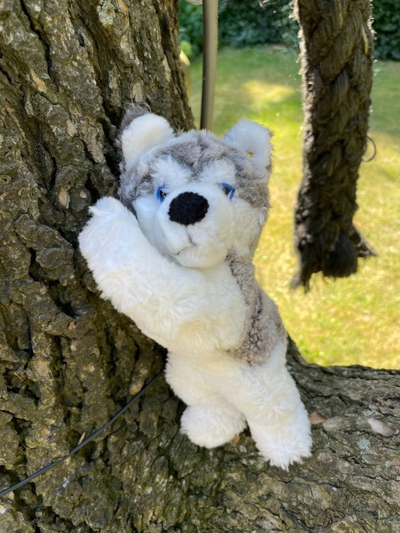 Steiff Husky Bernie 280078/26, Collector's Item, Birthday Gift - Etsy