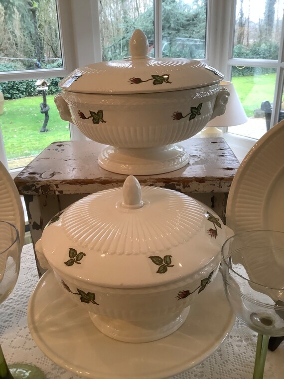 Wedgwood Moss Rose Dinner Set for 6 Place Settings, Wedding Gift