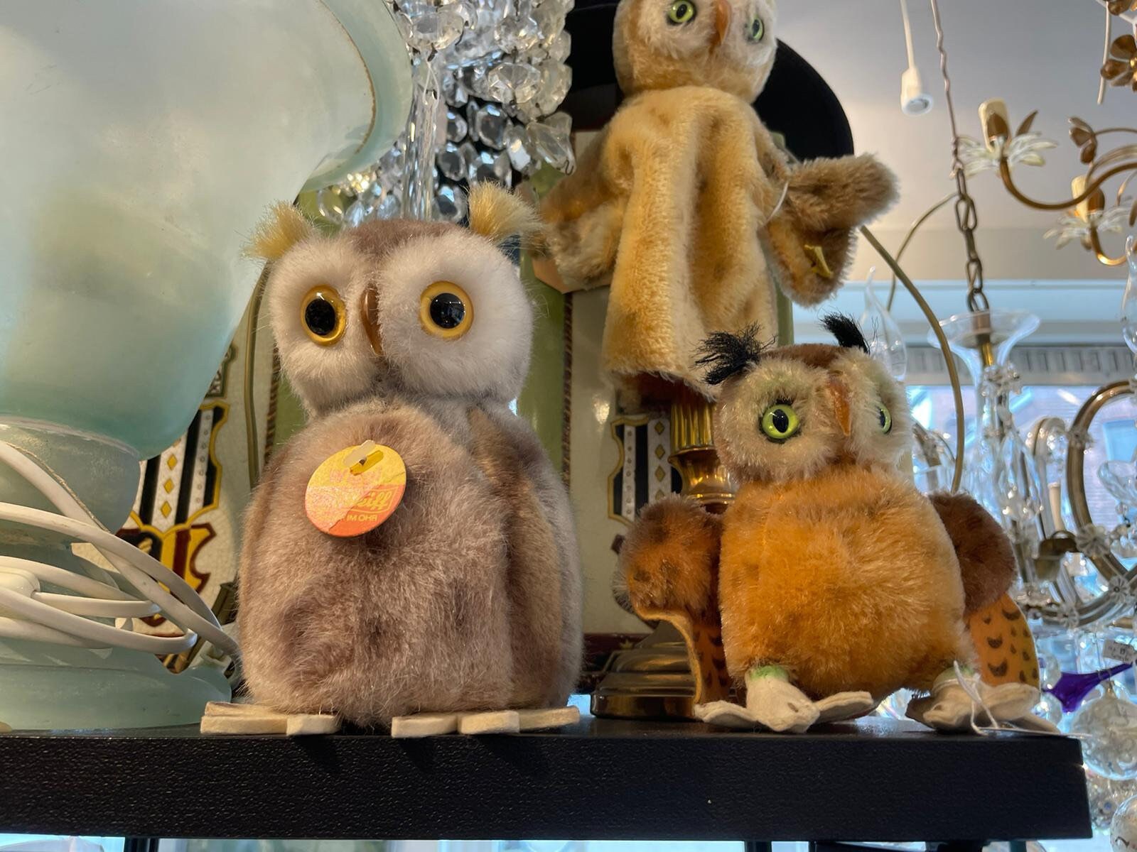 Steiff Owl Wiggi, 2625/15, Collector's Item, Birthday Gift