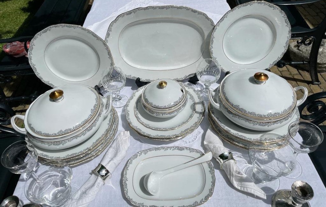 Hutschenreuther Hohenberg Madeleine Dinner Service for 6 Place