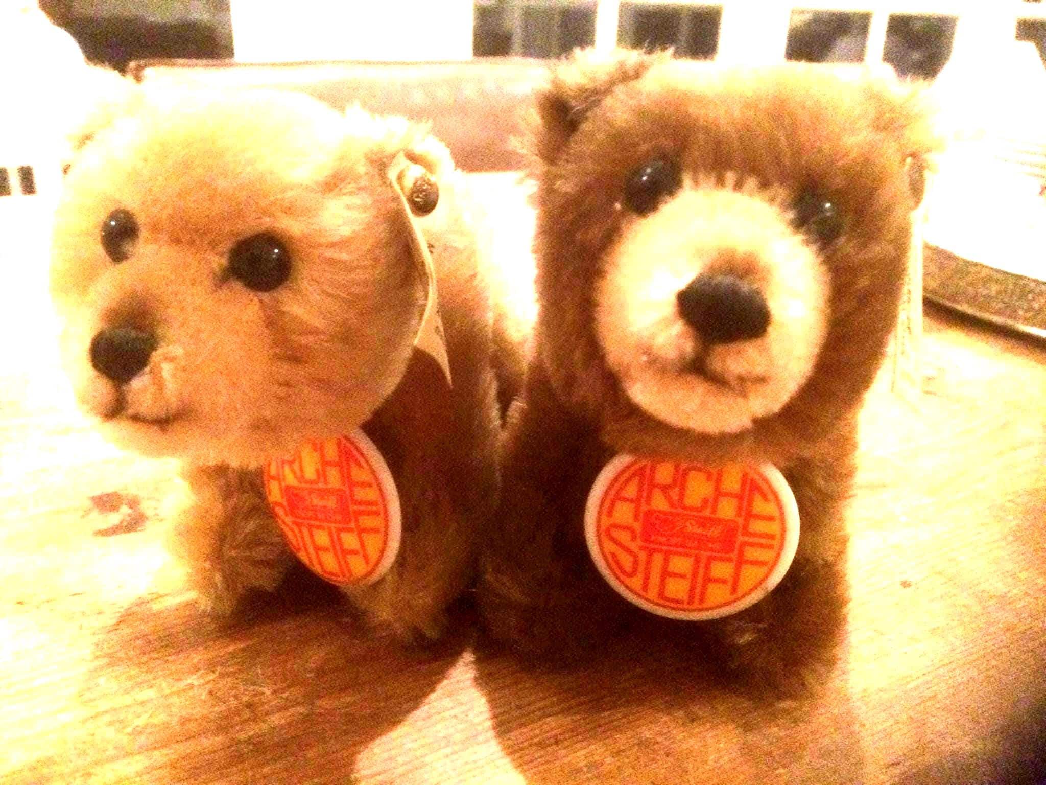 Steiff, Pair of 2 Bears of Noah's Ark, Collector's Item, Limited