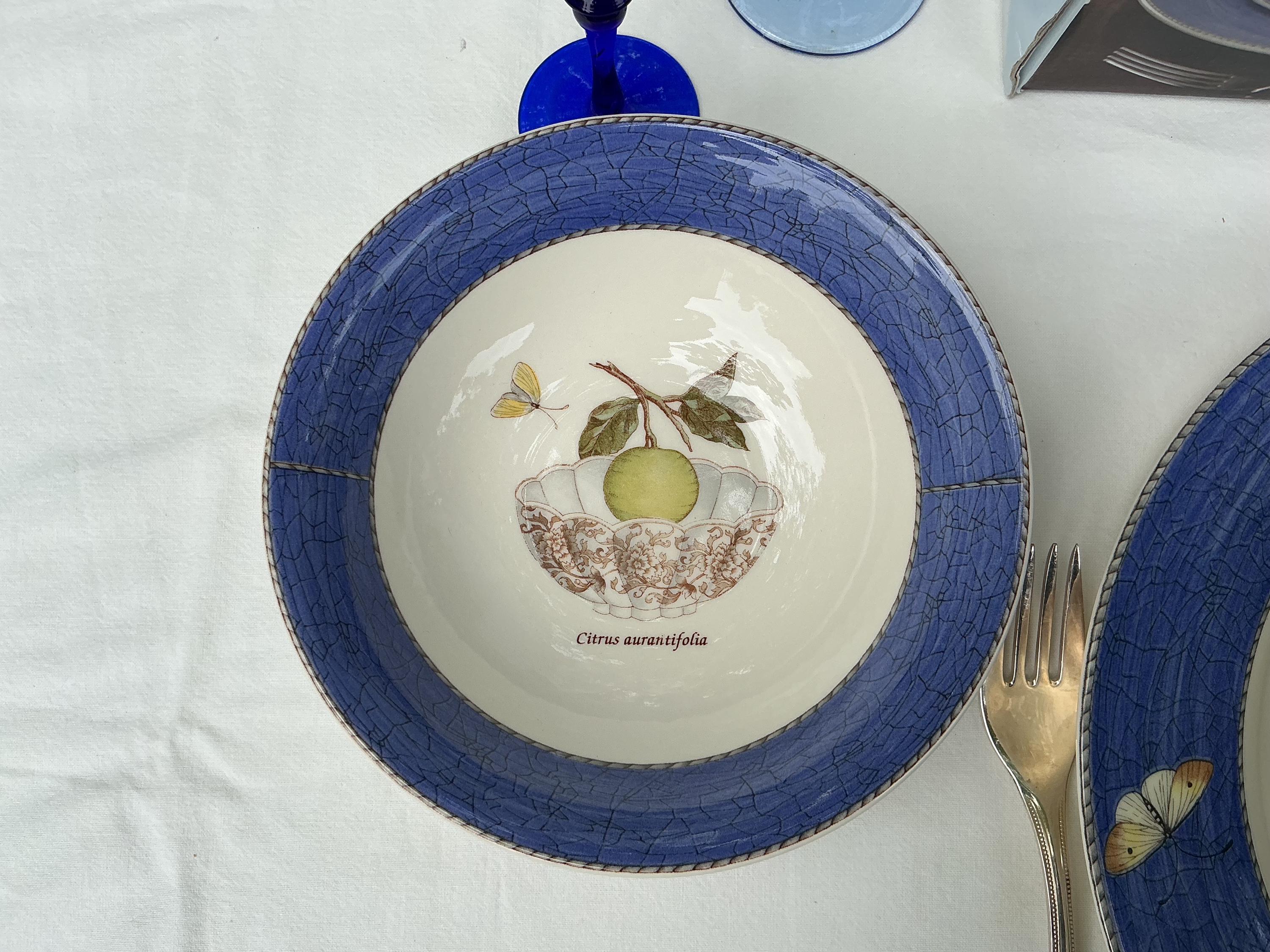 Wedgwood Sarah's Garden Dinnerware Set - Blue Floral Queensware