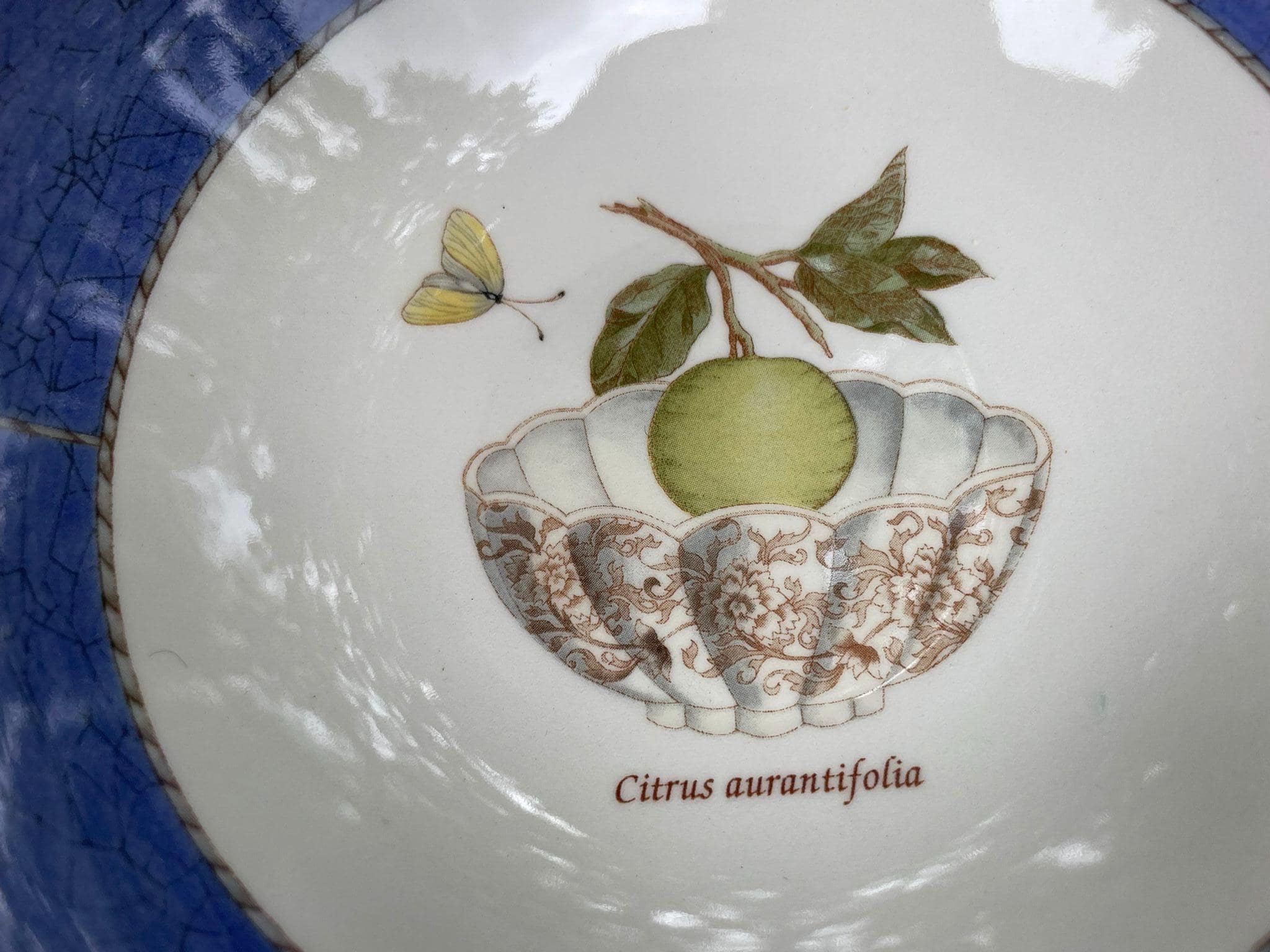 Wedgwood Sarah's Garden Breakfast Service, Gift for Her, Birthday