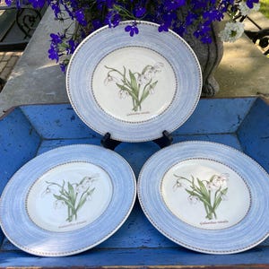 Wedgwood Sarah's Garden Sneeuwklokje, zestaw 3 ontbijtborden, Snowdrop Galanthus Nivalis, cadeau voor haar, verjaardagscadeau