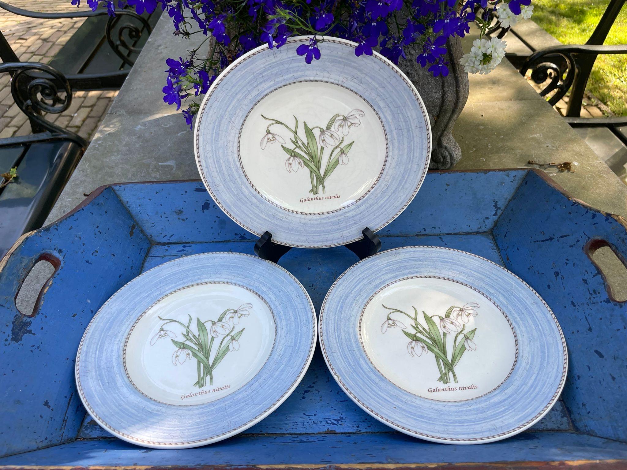 Wedgwood Snowdrop Sarah