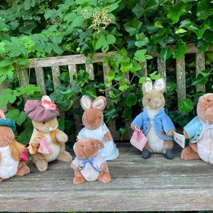 Puede incluir: Cinco figuras de conejo de peluche vestidas con varios atuendos. Una lleva un sombrero verde y una chaqueta beige, otra un sombrero rosa, una un vestido blanco, una una chaqueta azul con un pañuelo rosa y la última una chaqueta azul claro.
