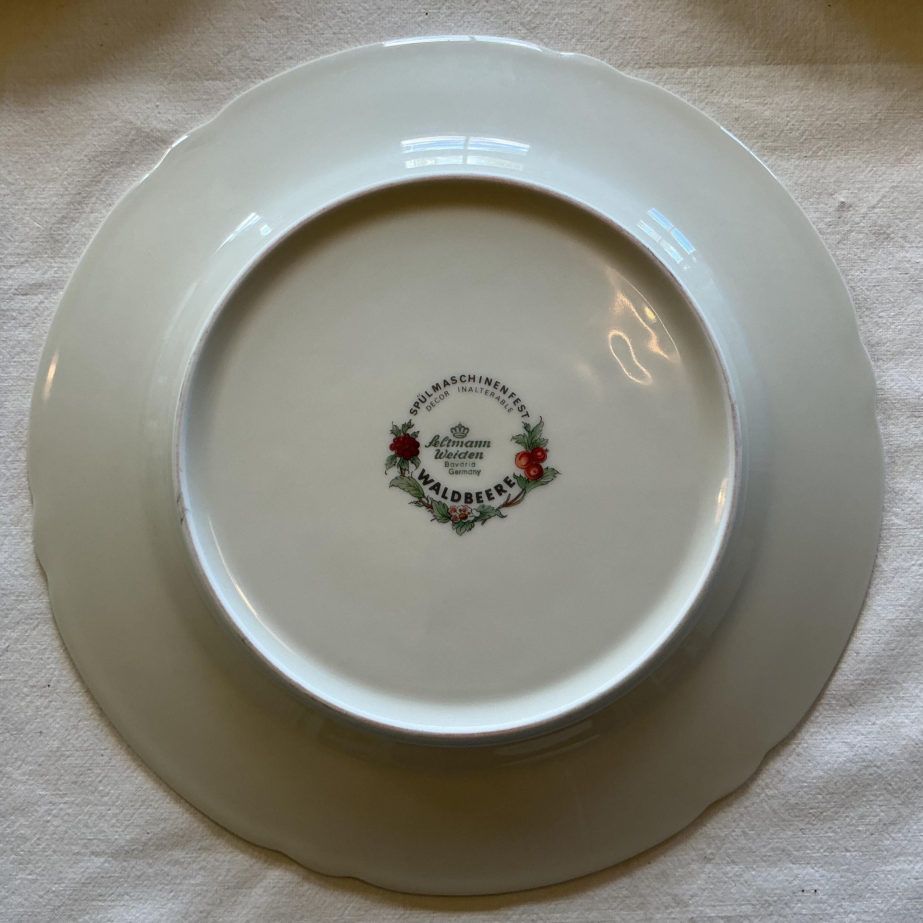 Seltmann Weiden Marie-Luise Waldbeere 磁器ディナーとスーププレート 