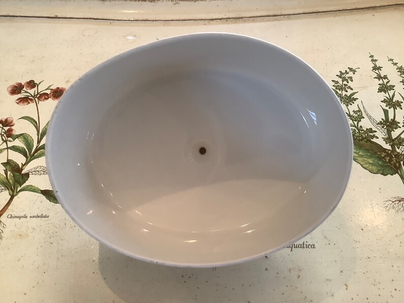 Op de afbeelding: Een witte, ovaalvormige keramische kom met een klein gaatje in het midden. De kom heeft een glanzende afwerking en staat tegen een achtergrond met botanische illustraties. Het ontwerp van de kom is eenvoudig en elegant.