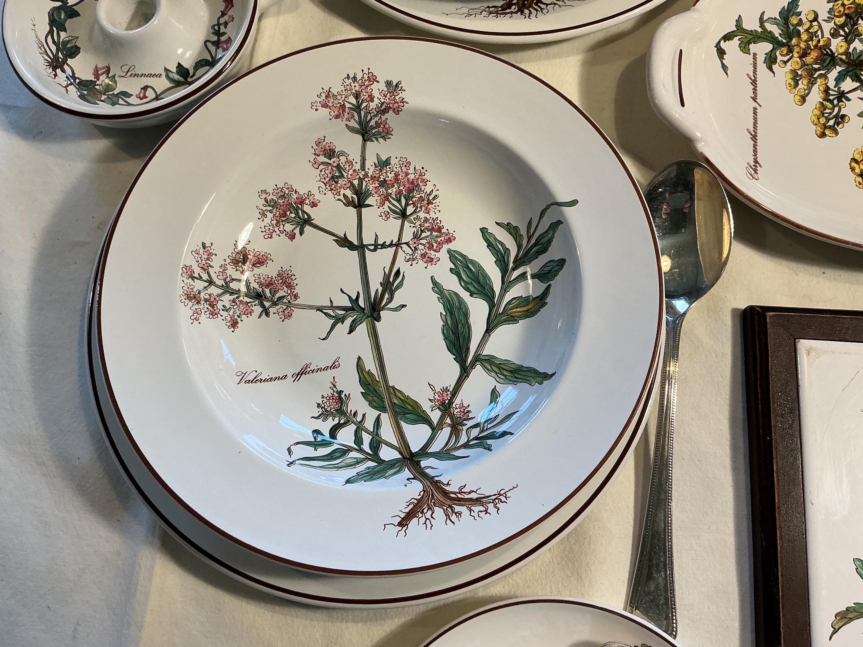 Villeroy & Boch Botanica Dinner Servies for 6 Place Settings