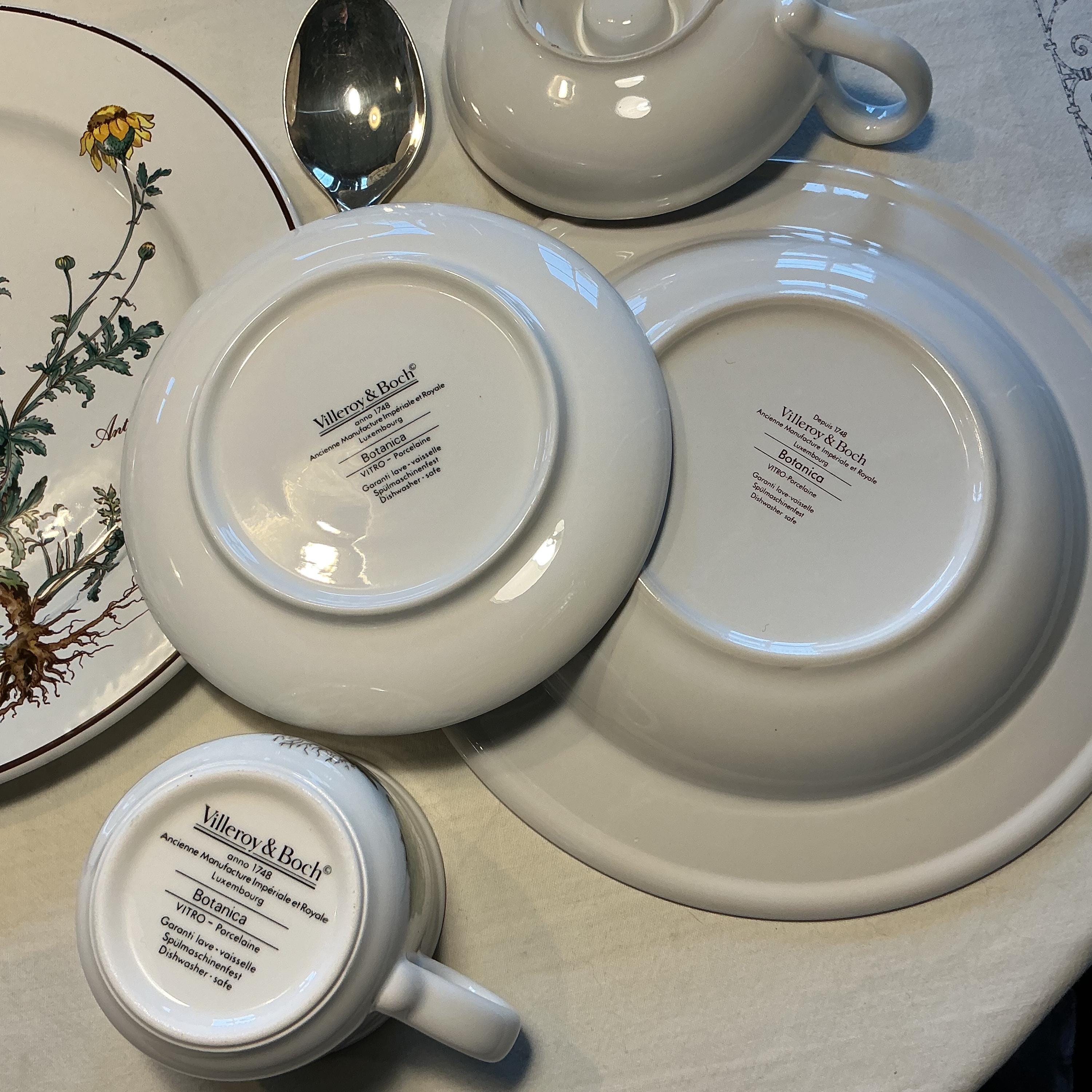 Villeroy & Boch Botanica Dinner Servies for 6 Place Settings