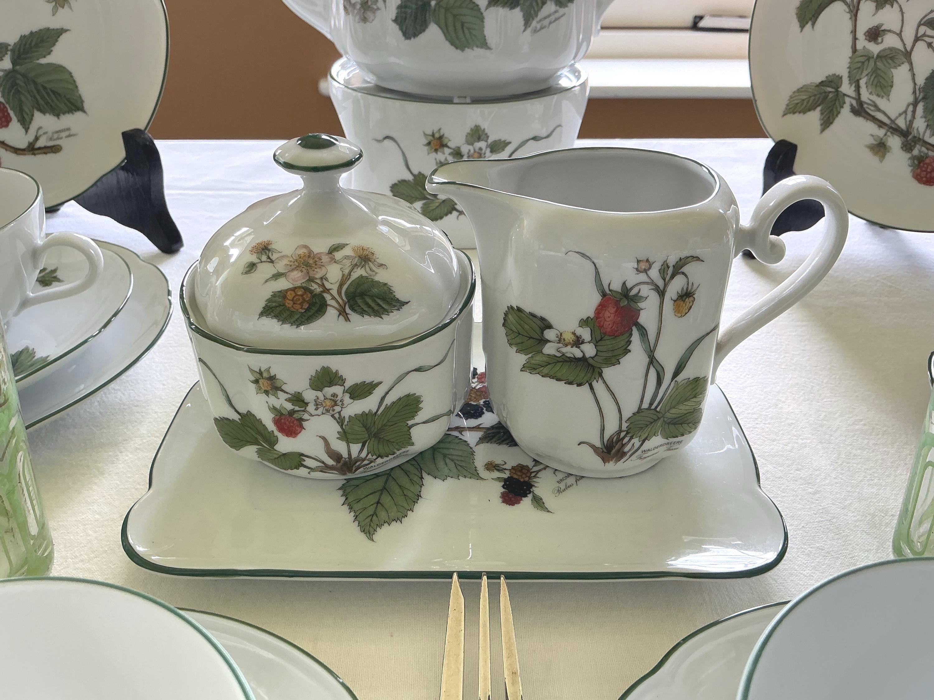 Seltmann Weiden Marie-luise Waldbeere Tea Set, 24-piece Bavaria