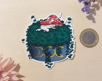 Pilz Sticker Aufkleber Vinylsticker Fungi Hexe