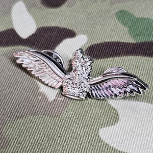 May include: A silver-colored winged badge with a crown in the center. The badge is on a camouflage fabric background.