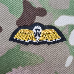 May include: A black felt paratrooper badge with gold embroidered wings and a white parachute in the center.