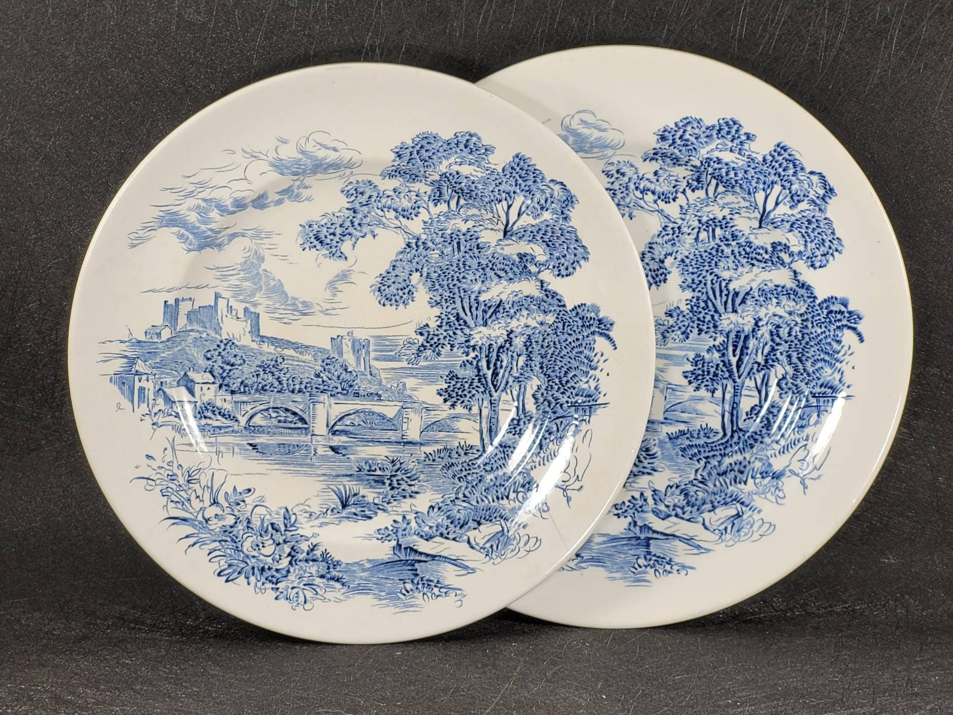 2 Vintage Enoch Wedgwood Countryside Dinner Plates 10