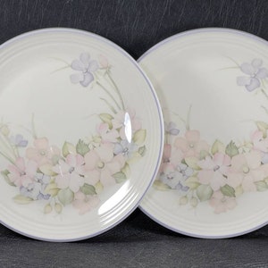 2 Vintage Royal Doulton Fresh Flowers Chelsea Dinner Plates 10 1/4&quot; England
