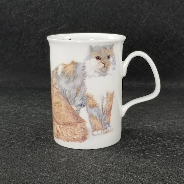 Roy Kirkham Cats Galore Persian Cats Mug Cup  2005 Fine Bone China England