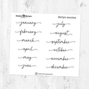 Script Months - Genomskinliga Folierade Planner Stickers