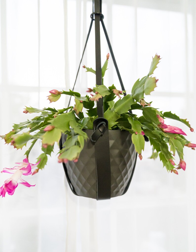 Hanging Leather Plant Holder Stylish Hanging Basket Modern Indoor Plant Pot Holders Minimalist Home Decor Black Brown Beige Black