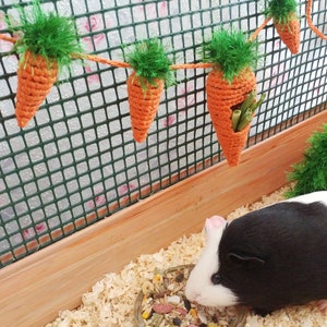 Guinea pig garland for cage. Guinea pigs accessories. Small pet toys.