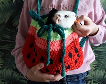 Guinea pig watermelon carrier. Small pet soft cozy carrier.