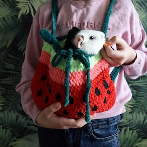 Guinea pig watermelon carrier. Small pet soft cozy carrier.