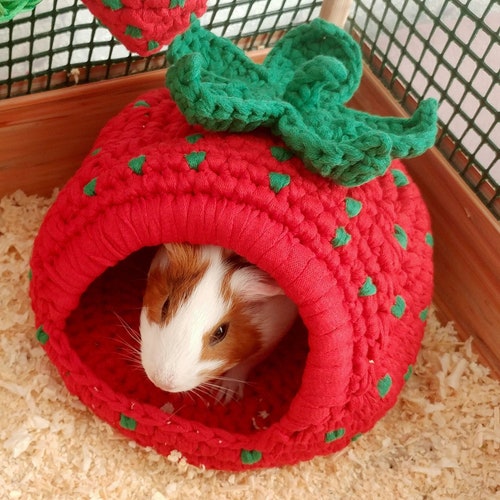 Guinea Pig Cherry DOUBLE HOUSE Guinea Pig Cherry Bed in Etsy