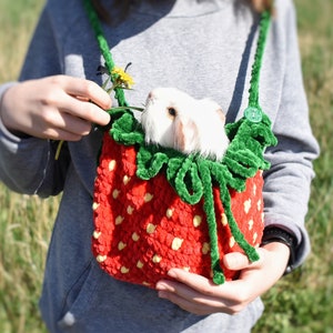 May include: A white guinea pig in a red and green strawberry-shaped carrier bag with a green strap. The carrier bag is being held by a person in a grey sweatshirt.