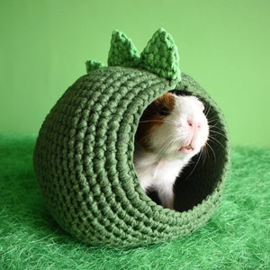 Dinosaur house for guinea pig. Small pet house. Funny guinea pig gift!