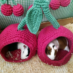 Guinea pig cherry DOUBLE HOUSE! -  Guinea pig cherry bed in cage - Guinea pig cozy accessories