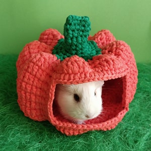Guinea Pig Pumpkin House. Small pet Halloween gift. Funny Halloween house for your pet. Halloween 2024