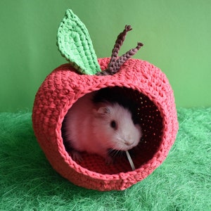 Guinea pig red apple house for cage. Small pet house. Funny guinea pig gift image 1