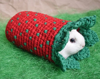 Strawberry Tunnel for Guinea Pig or Small Pet | Funny Pet Accessories in Cage | Unique Gift for Pet Lovers | Guinea pig accessories