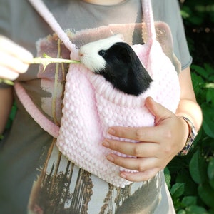 Guinea pig carriers discount