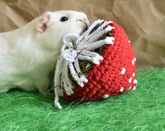 Guinea Pig Mushroom Hay Feeder Toy -  Small pet Mushroom hay bag - Guinea pig unique for cage accessories - Funny Gift for pet Lovers