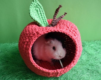 Guinea pig red apple house for cage. Small pet house. Funny guinea pig gift!