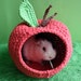 see more listings in the Guinea pig houses section