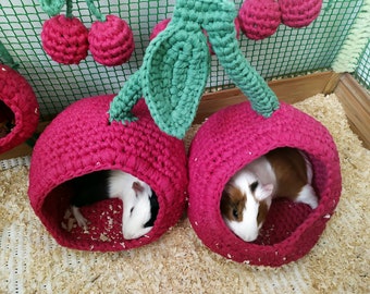 Guinea pig houses