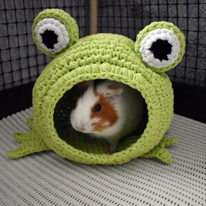 Guinea pig frog house for cage. Small pet house. Funny guinea pig gift image 4