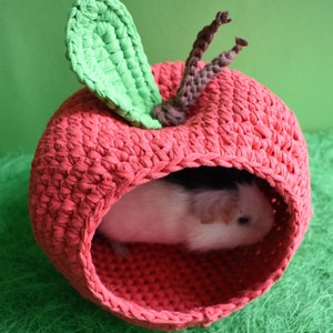 Guinea pig red apple house for cage. Small pet house. Funny guinea pig gift image 3