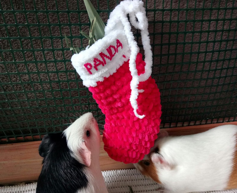 Personalized guinea pig christmas stocking Funny guinea pig Christmas gift image 1