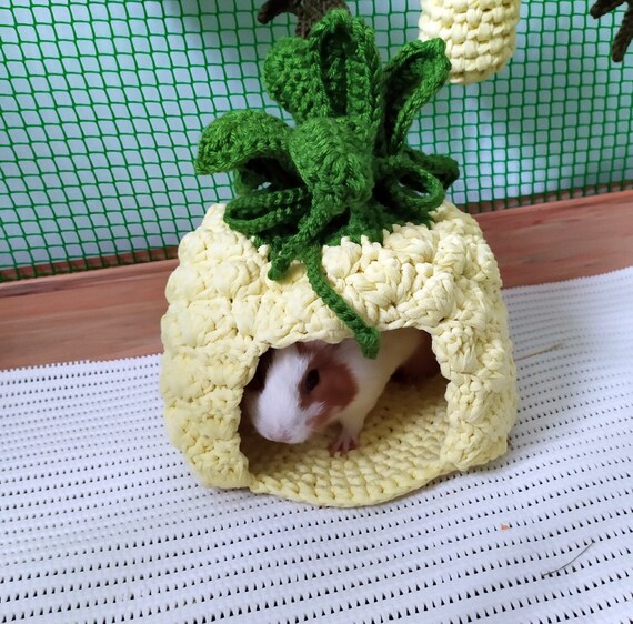 guinea pig pineapple