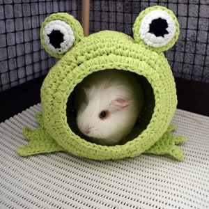 Guinea pig frog house for cage. Small pet house. Funny guinea pig gift image 7