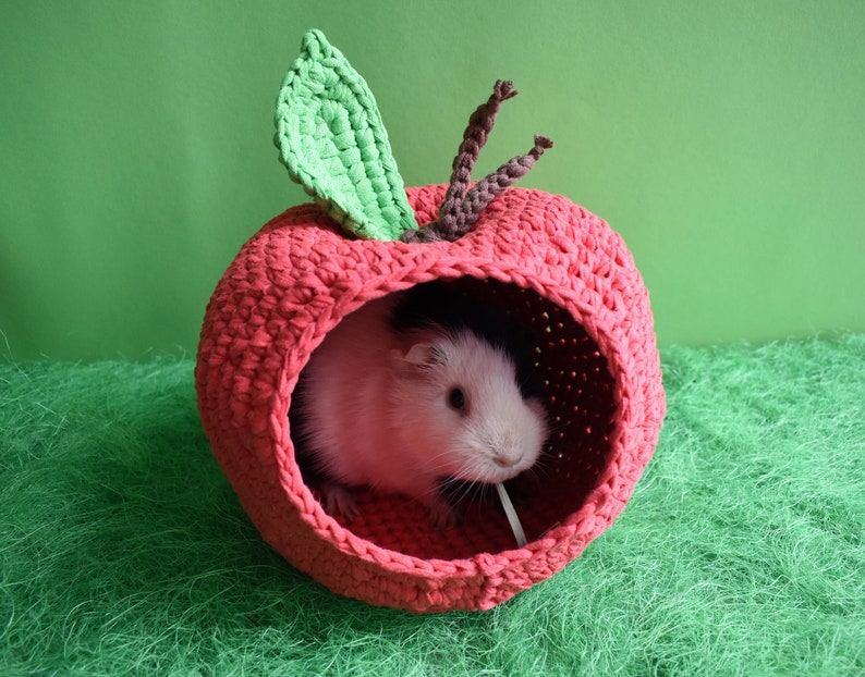 Guinea pig red apple house for cage. Small pet house. Funny guinea pig gift image 1