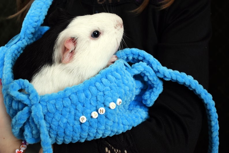 guinea pig carrier sling
