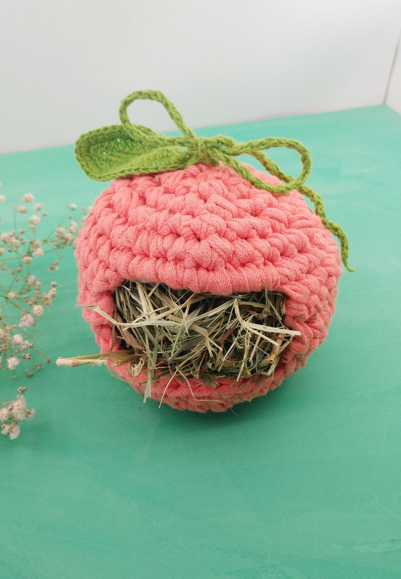 Guinea pig hay feeder. Guinea pig apple hay bag. Small pet Etsy