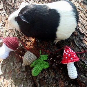 Peut inclure: Une guirlande en crochet avec des champignons rouges et blancs, un gland brun et une feuille verte. La guirlande est suspendue &agrave; un tronc d'arbre avec un cochon d'Inde noir et blanc en arri&egrave;re-plan.
